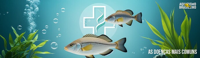 banner-doenças-forum